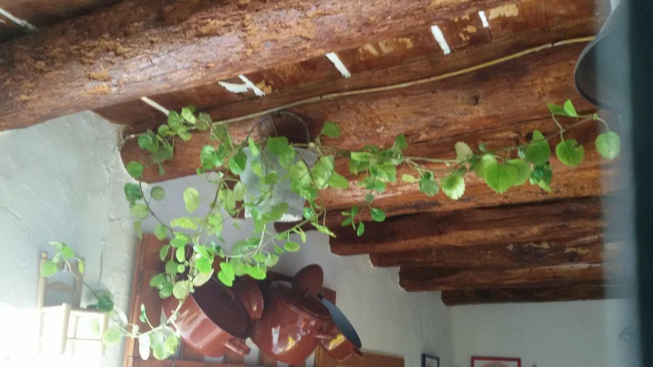 La Casa De La Acequia Serón Exterior foto